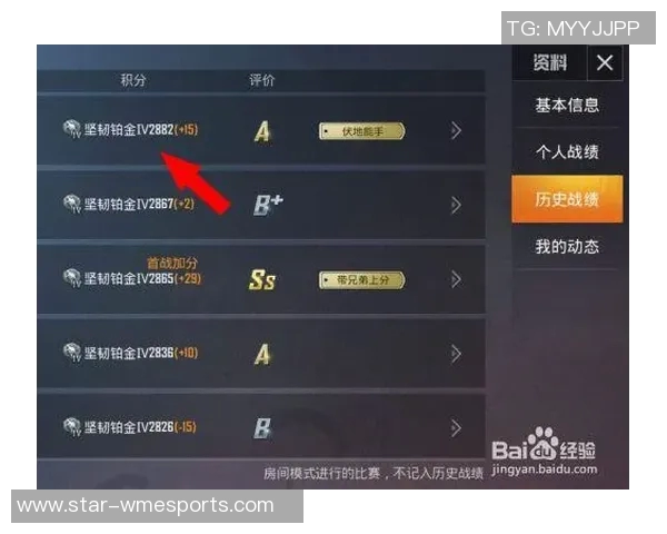 和平精英V5版本深度解析与当前游戏状态全面评估